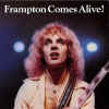 Jumpin' Jack Flash - Rolling Stones - Peter Frampton