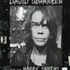 David Johansen And The Harry Smith – Same und Shaker