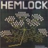 Hemlock, die Band des Miller Anderson