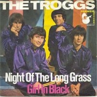 Night Of The Long Grass - The Troggs