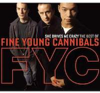 FYC - She Drives Me Crazy - The Best Of The Fine Young Cannibals