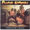 Flamin Groovies – Teenage Head