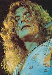 Robert Plant 