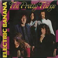 The Electric Banana aka The Pretty Things