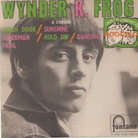 Mick Weaver aka Wynder K. Frog
