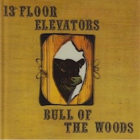 13th Floor Elevators - Bull Of The Woods