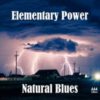 Natural Blues: Elementary Power – Blues Roots!
