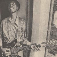 Hound Dog Taylor ‎