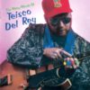 Teisco Del Rey