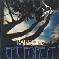 Rare Bird - Epic Forest