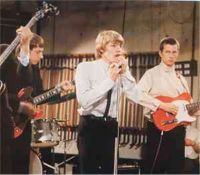 yardbirds